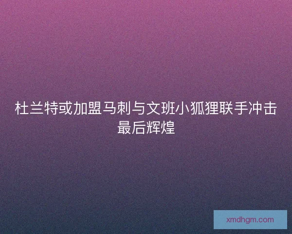 杜兰特或加盟马刺与文班小狐狸联手冲击最后辉煌