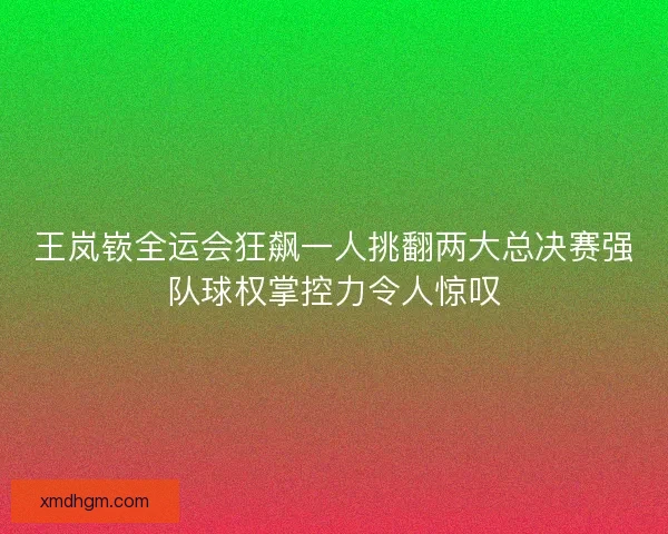 王岚嵚全运会狂飙一人挑翻两大总决赛强队球权掌控力令人惊叹