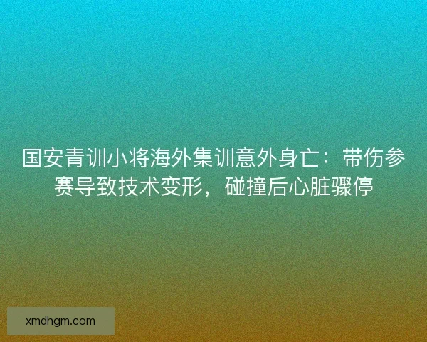 国安青训小将海外集训意外身亡：带伤参赛导致技术变形，碰撞后心脏骤停