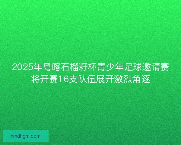 2025年粤喀石榴籽杯青少年足球邀请赛将开赛16支队伍展开激烈角逐