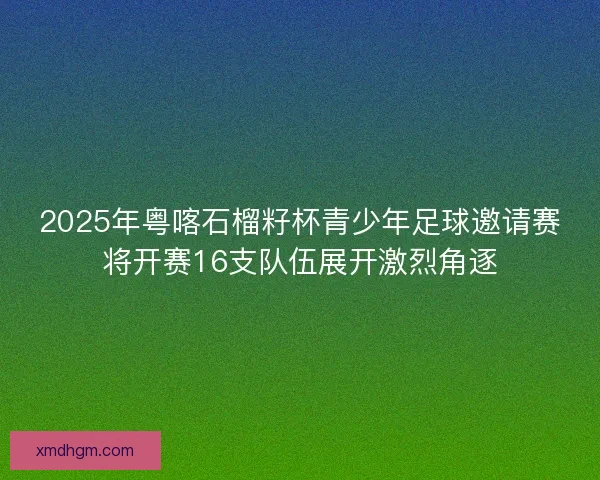 2025年粤喀石榴籽杯青少年足球邀请赛将开赛16支队伍展开激烈角逐